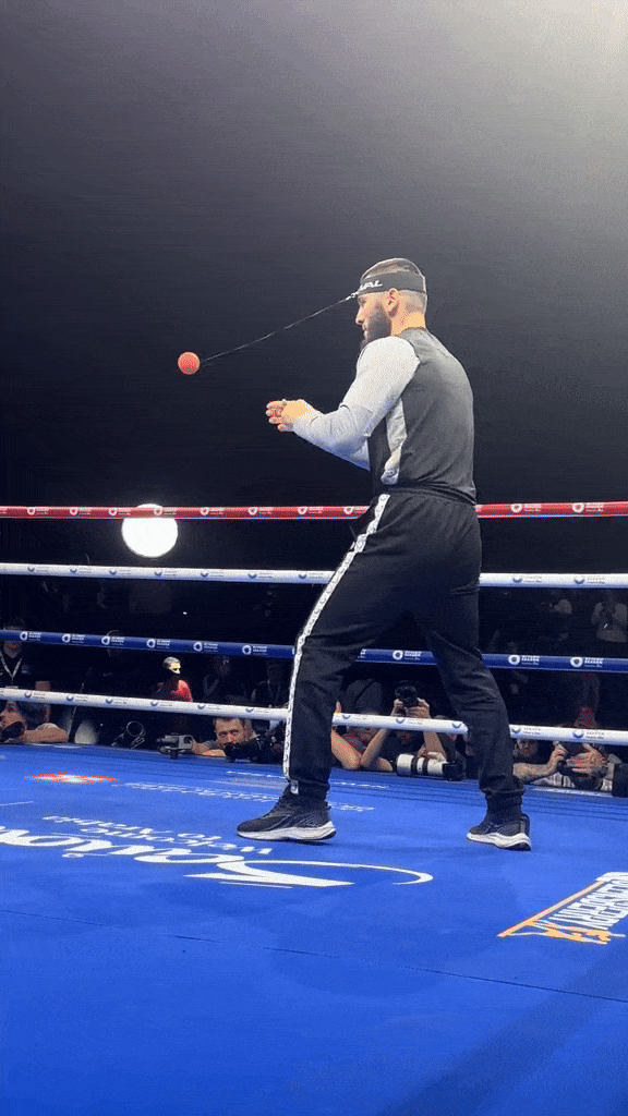 Boxing Reflex Ball