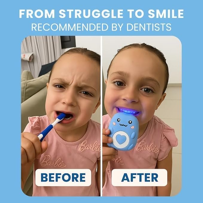 Brush Buddy