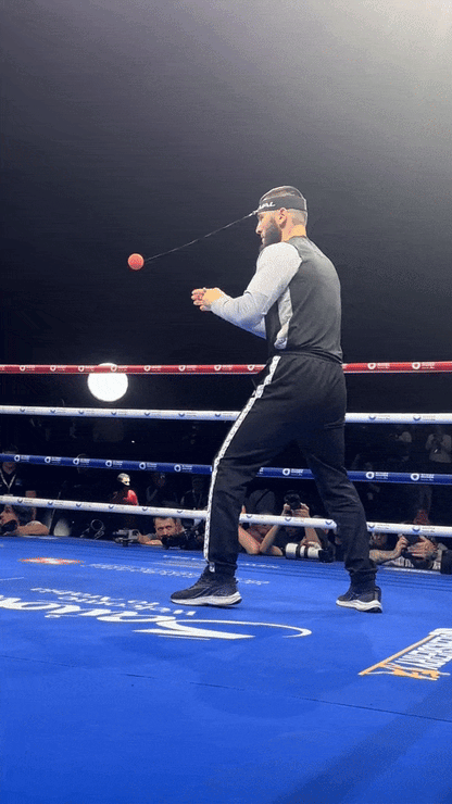Boxing Reflex Ball